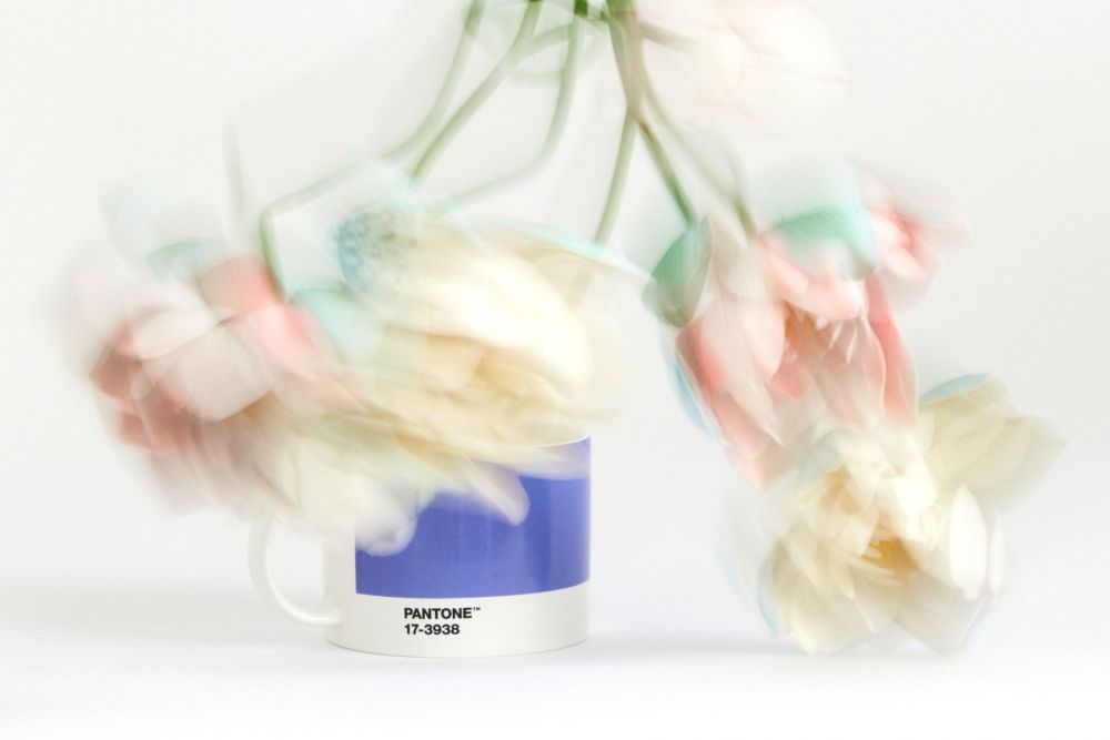 Pantone December6070 1