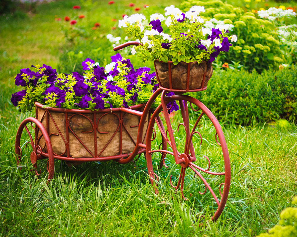 Magiatika Stefania Loyloydia Veranta Khpos