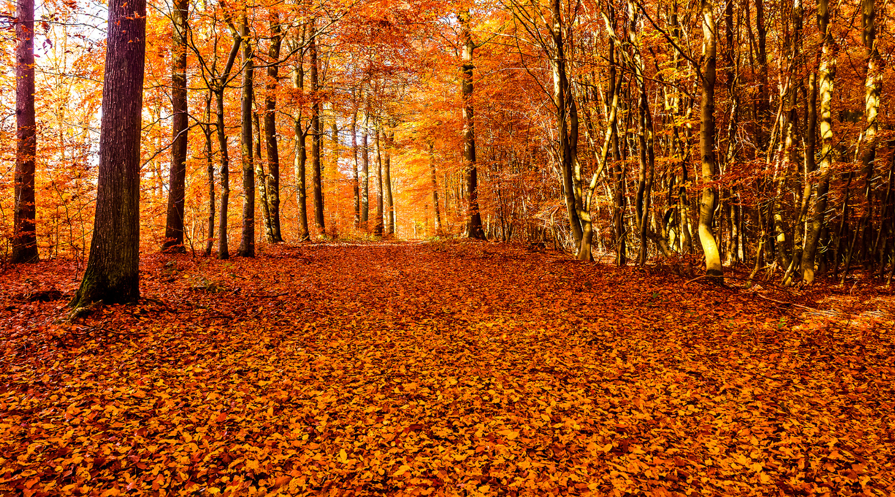 Untitled Design (27)