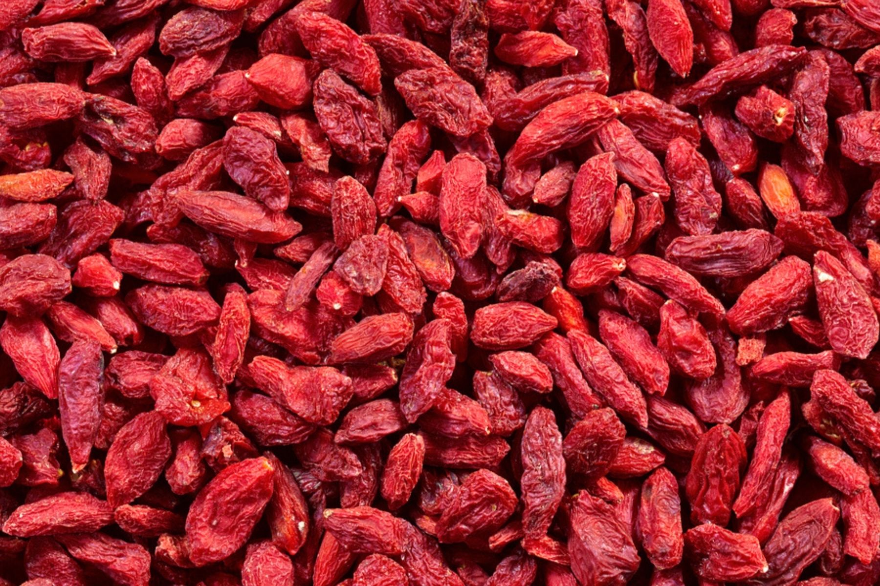 Goji Berry