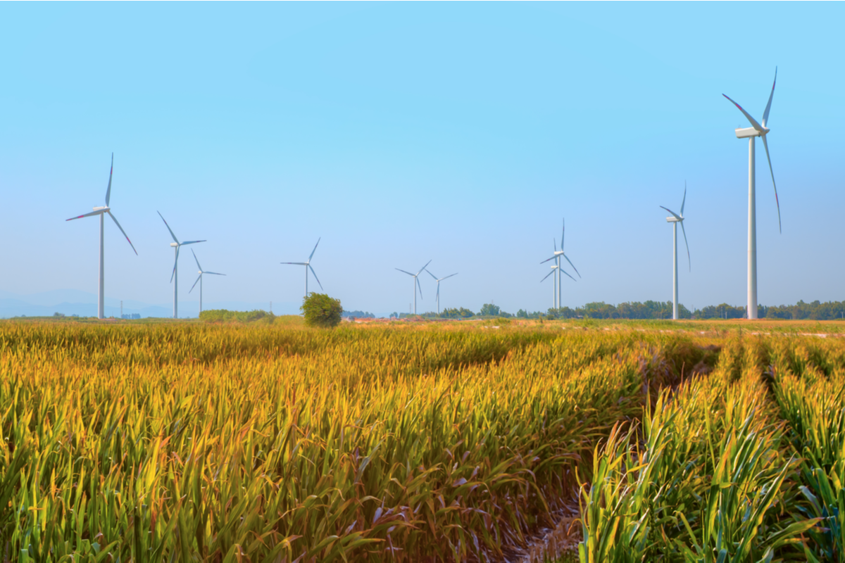 I Xaroumeni Eidisi Thw Ebdomadas I Ellada Katakta Thn Prasini Energeia