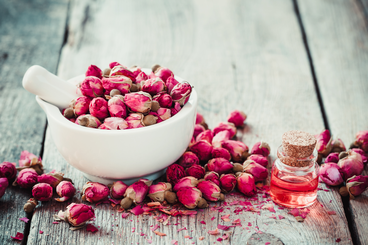 To Elaio Kinorodou Pou Exafanizei Tis Panades Main